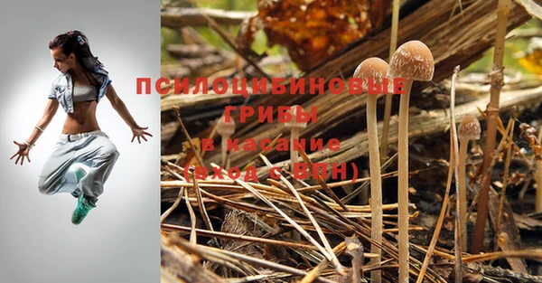 бутик Магас