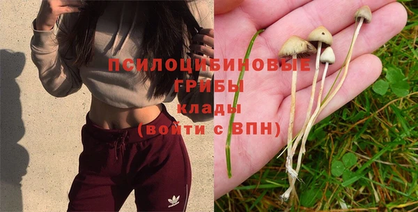 мескалин Магадан