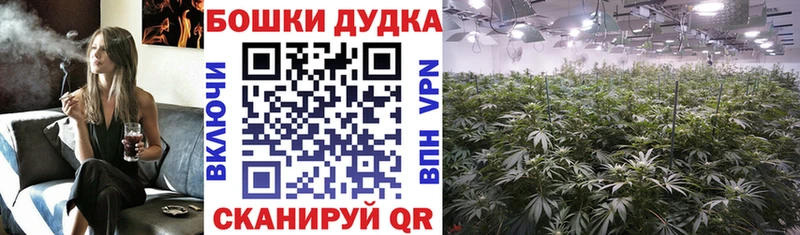цена   Андреаполь  Канабис марихуана 
